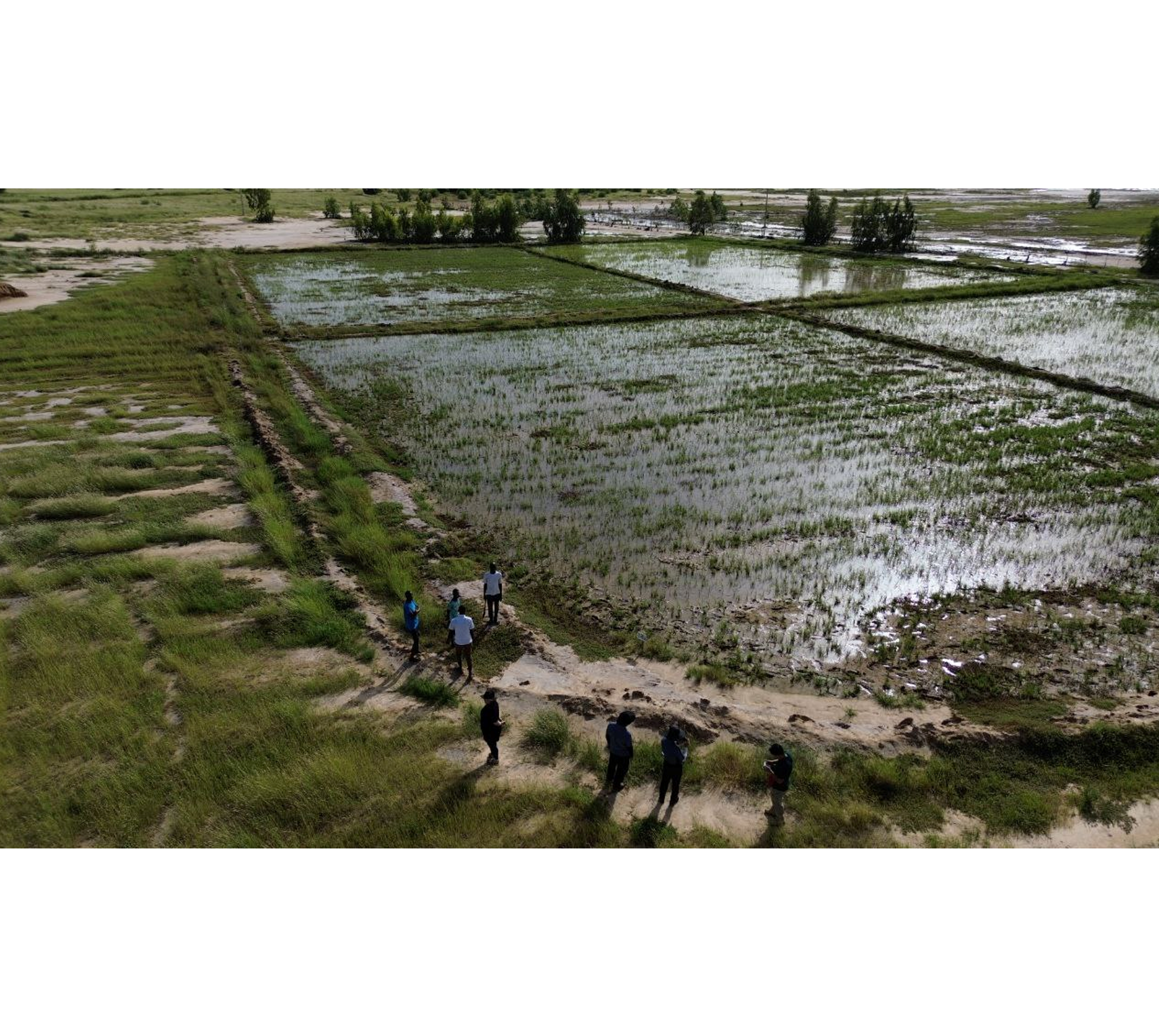 senegal farm2